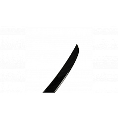 Hinterer Spoiler Mercedes-Benz CLS C219 Lippe Carbon Look