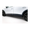 Cupra Formentor Mk1 Facelift Schwelleraufsatz v.2