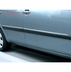 Seitliche Zierleisten, Edelstahl, Škoda Roomster