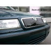 FIAT WINTER-FRONTVISIER
