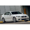 Carbonabdeckung - Schwellerschutz für die hintere Stoßstange 3D BMW 5 F10 2010-16