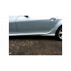 Mercedes-Benz SLK R171 SLK R172 AMG Look ABS Programme