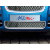 Stoßstangengitter, Edelstahl, Škoda Roomster / Fabia II