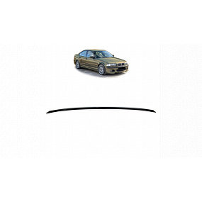Hinterer Flügel BMW 3 E46 Carbon