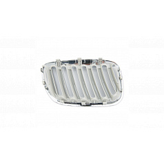 Grill BMW X5 E53 Facelift einzelne Lamellen Chrom