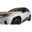 Türseitenleisten, Toyota Rav4 V, 2018+