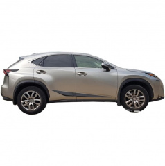 Türseitenleisten, Lexus NX, 2014+