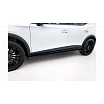 Cupra Formentor Mk1 Facelift Schwelleraufsatz v.2