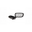 BMW X5 F15 F85 X6 F16 F86 Doppelrippen-Kühlergrill Glänzend Schwarz