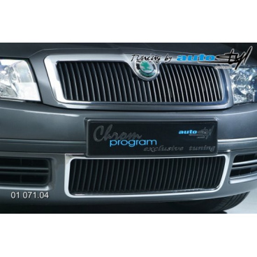 Skoda Superb Kühlerrahmen Skoda Superb Kühlerrahmen