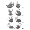 BOVEC Zelt für 2 Personen 245x145x95cm PU5000mm