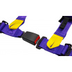 Sportgurte Slide V2 Violett 4P 2" E4