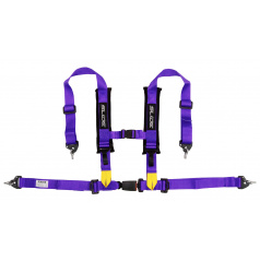 Sportgurte Slide V2 Violett 4P 2" E4