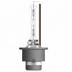 Xenonlampe Osram D4S 12V+24V 35W P32d-5 4150K