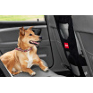 Hundebarriere für das Auto