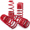Sportfedern MTS Ford Fiesta V 30/30 mm