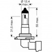 Glühbirne HB4 12V55W