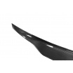 Hinterer Flügel Mercedes-Benz CLS Lippe Carbon