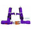 Sportgurte 4p 2" Lila - Offroad