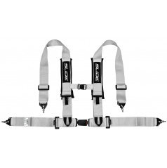 Sportgurte Slide V2 Silber 4P 3" E4