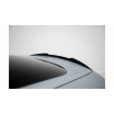 Satz Splitter Mercedes-AMG GT 63 C192 v.2
