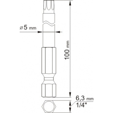 Bitsatz 1/4" 2 Stück TORX L=100 mm T10, T25