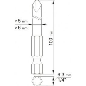 Bitsatz 1/4" 2-tlg. Profil YL=100 mm #2, #4