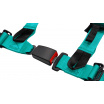 Sportausweise Slide V2 Mint 4P 2" E4