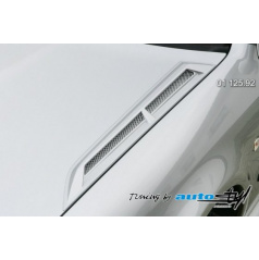 Ausatmung III. - Für Škoda Octavia male ich