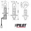 H1 100W Pilot Xenium Race-Glühbirnen – 2 Stück + 2 zusätzliche Parklampen
