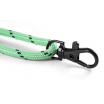 Originales elektrisches Halsband von Škoda