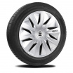 Originale SPARCO-Radkappen, silberfarben