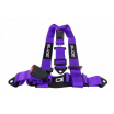 Sportgurte Slide 3p 2" Lila Homologation E4
