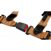 Sportgurte Slide V2 Gold 4P 2" E4