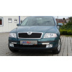 LED-Tagfahrlicht mit Abdeckrahmen - ABS schwarz, Octavia II