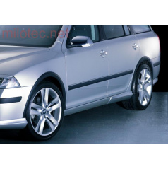 Kotflügelkanten, ABS schwarz mit Gitter, Škoda Octavia II 2004-08 kein Facelift