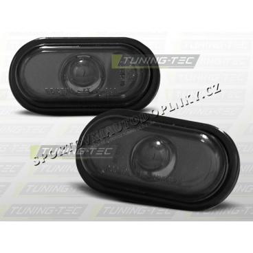 SEITLICHE BLINKER FÜR RENAULT CLIO II 1998–01, KLARER RAUCH