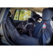 Schutzdecke für einen Hund zwischen den Sitzen PROFI 145x147 cm schwarz