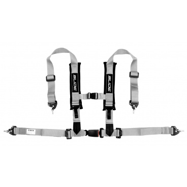 Sportgurte Slide V2 Silber 4P 2" E4