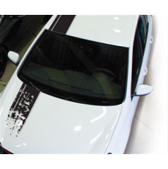 Dekorativer Aufkleber FOLIATEC 'Stripes' - mattschwarz