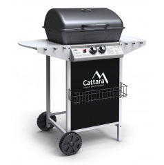 PARTY POINT mobiler Gasgrill