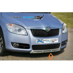 Vorderer Unterfahrschutz Allroad – silberner Unterfahrschutz Škoda Fabia II