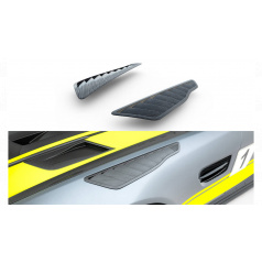 Eingänge Mercedes-Benz AMG GT C C190 Facelift Seite Carbon