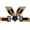 Sportgurte Slide V2 Quick Gold 4P 3"
