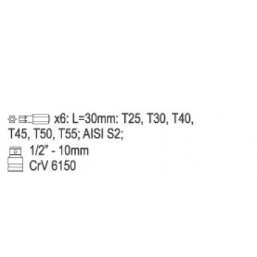 Bitsatz 7-teilig TORX mit Loch