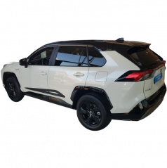 Türseitenleisten, Toyota Rav4 V, 2018+
