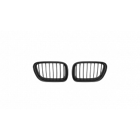 Grill BMW X5 E53 einzelne Rippe Matt Schwarz Grill BMW X5 E53 einzelne Rippe Matt Schwarz