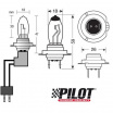 H7 100W Pilot Xenium Race-Glühbirnen – 2 Stück + 2 zusätzliche Parklampen