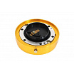 Nabe Schnellverschluss Flach Gold