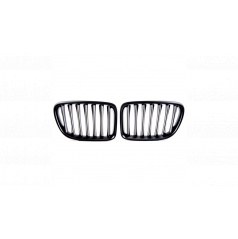 BMW X1 E84 Grill Einzelne Rippe Matt Schwarz